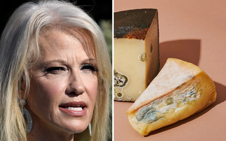 Is Kellyanne Conway Actually a Chunk of Spoiled Cheese, or Something Worse? An Analysis.